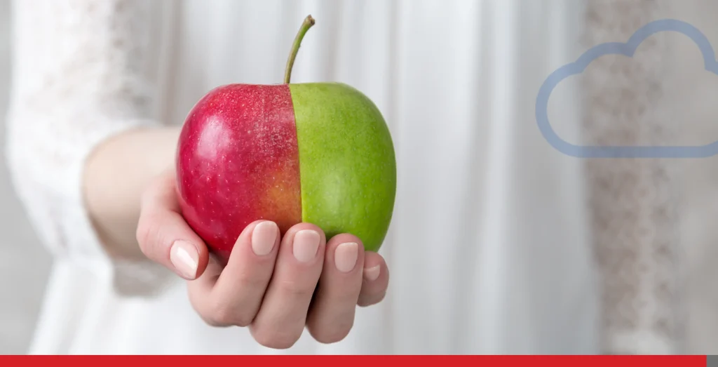 Pomme bicolore dans la main d’une personne, image d’archives - Envato
